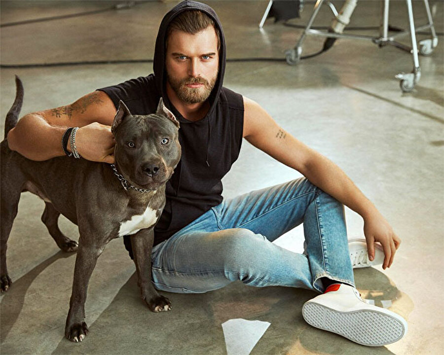 Kıvanç Tatlıtuğ sahip olduğu köpeği Mars'a şiddet uyguladığı iddialarına yanıt verdi.