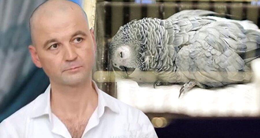Murat Özdemir'in eziyet ettiği papağan Bahtiyar, bugün hayatını kaybetti.