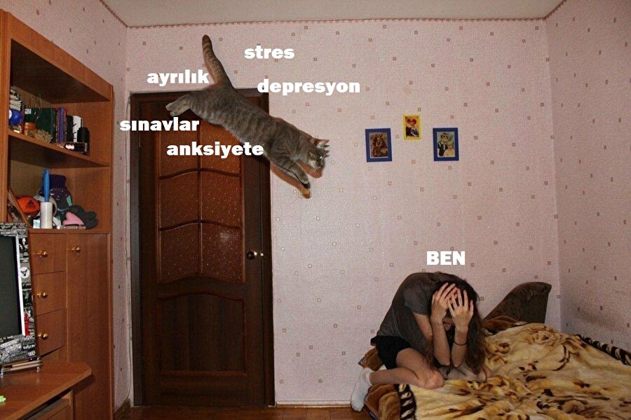 Vee kaçınılmaz son