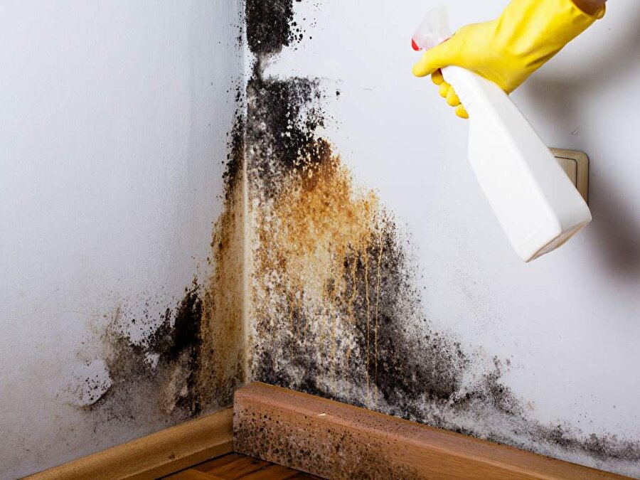 duvardaki kuf neden olur nasil temizlenir duvar kufunu temizlenin 5 yolu