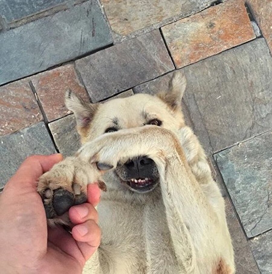 Yaa demesene öyle utanıyorum