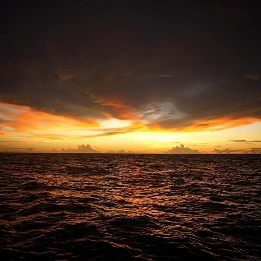 Pasifik'te bir seyahatten