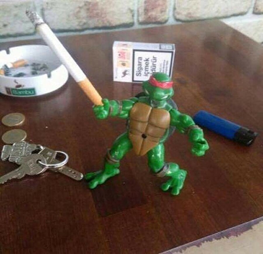 ​Ninjadan dal alınmaz kardeşim