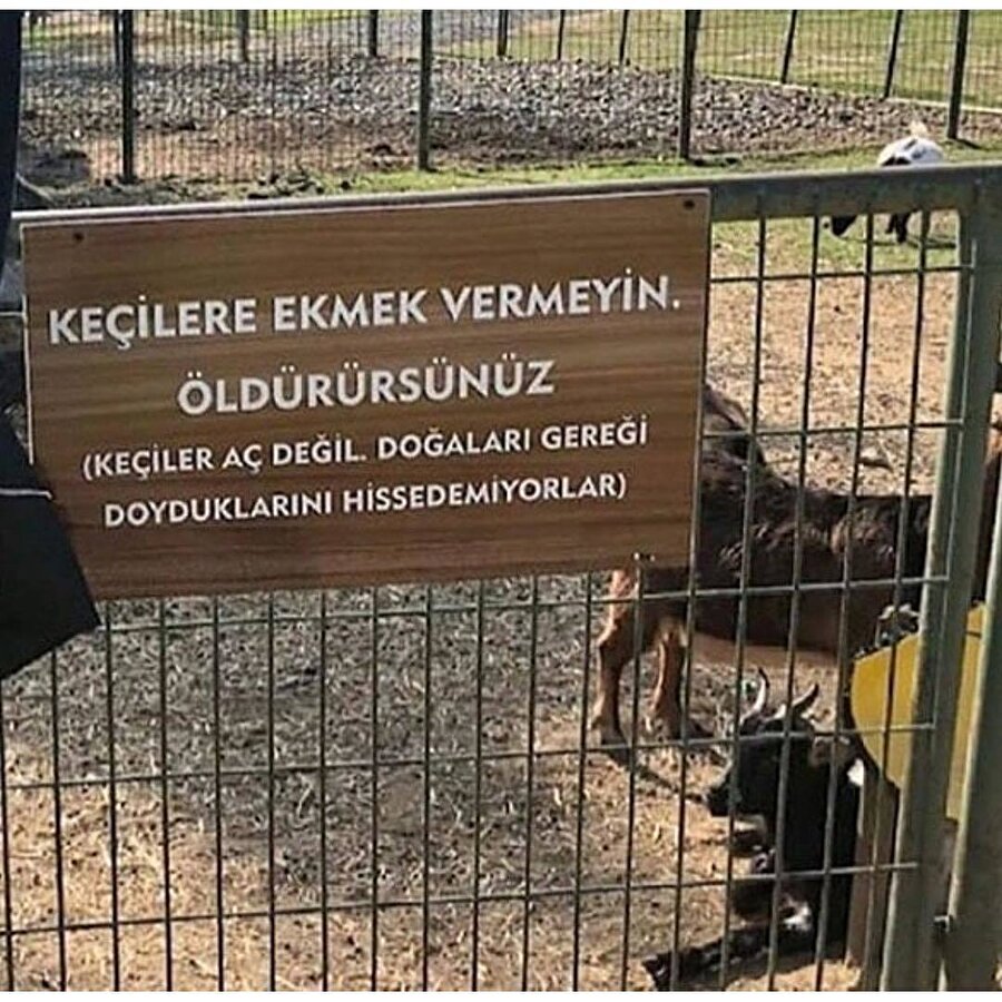 Bu şey değil mi ya ben​