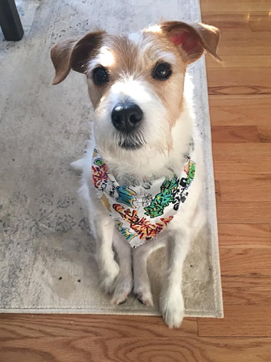 ​Yakışıklı biri