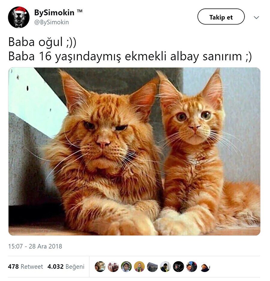 Suratında da emekli albay siniri var zaten