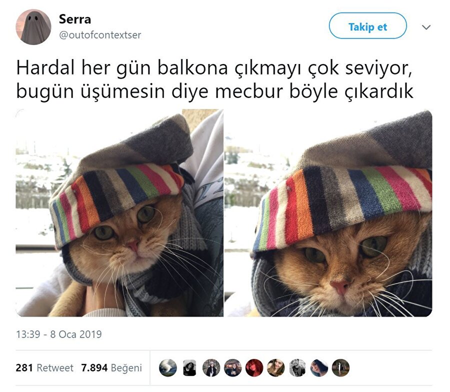 Hardal çok güzel biri