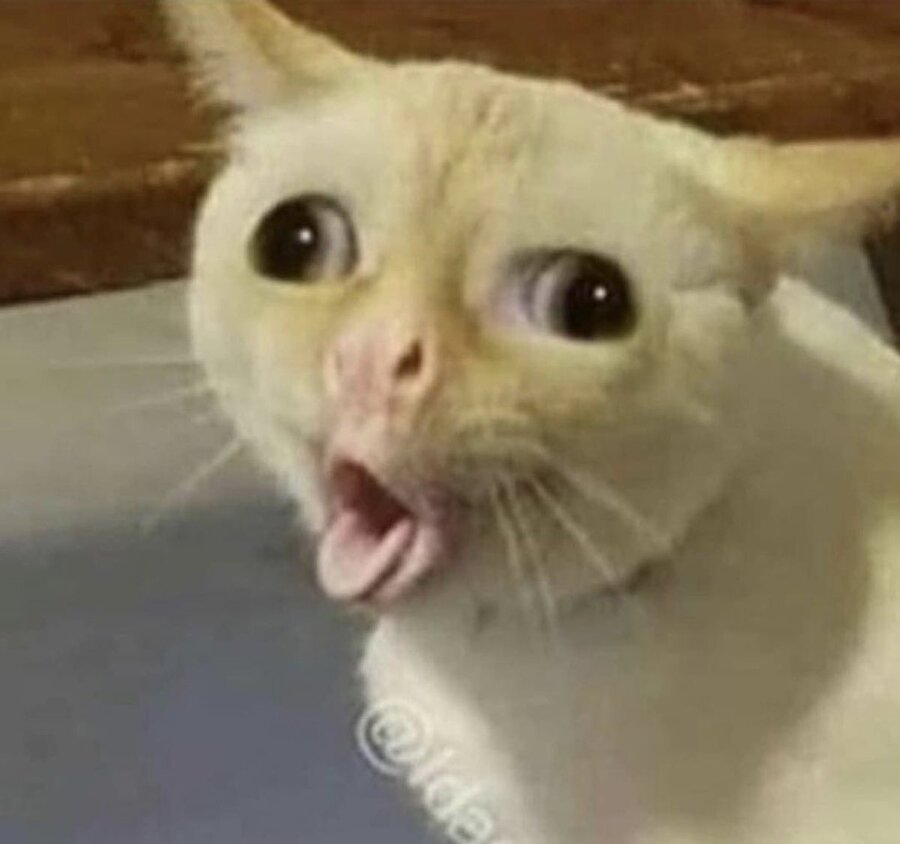 ​Ev balık kokuyor