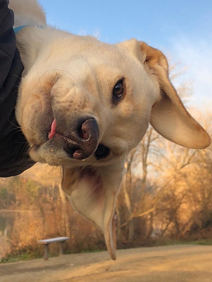 Nasılsın tatlı kız...​