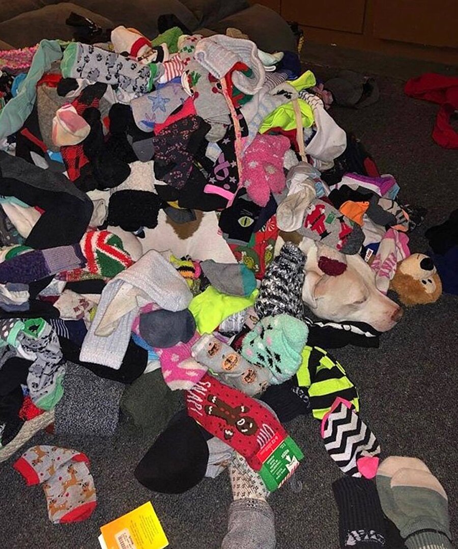 Karışıklık arasındaki tatlı detayı fark ettiniz mi?