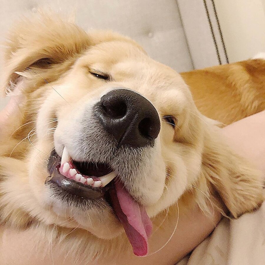 Yaa öyle demesene...​