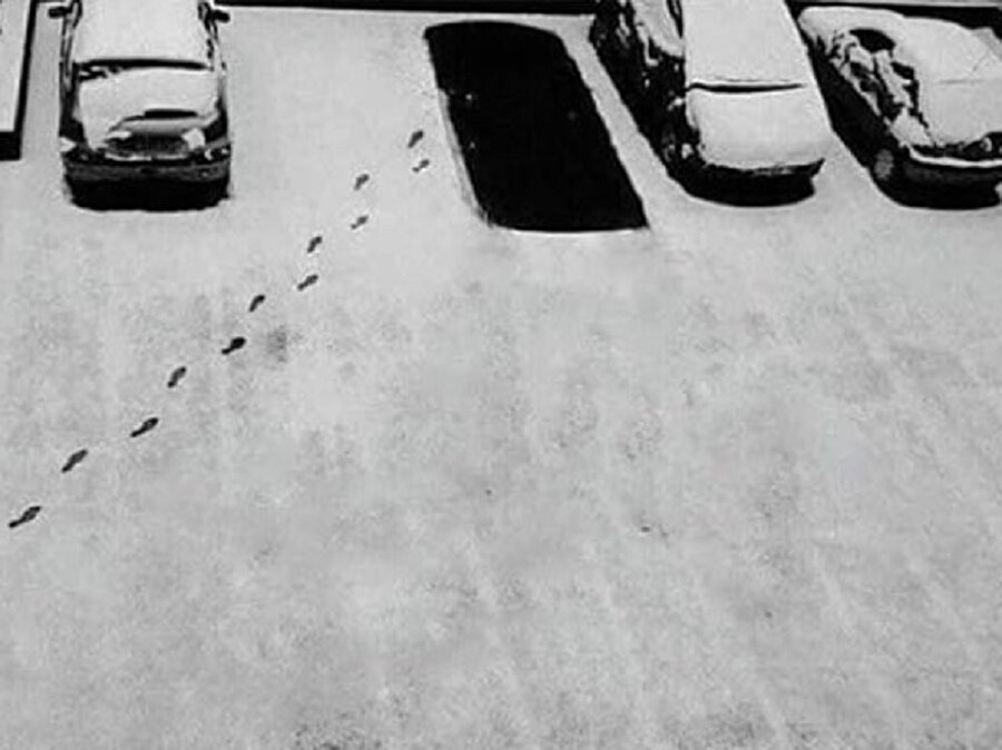 Bütün ufolar daire şeklinde olacak değil ya