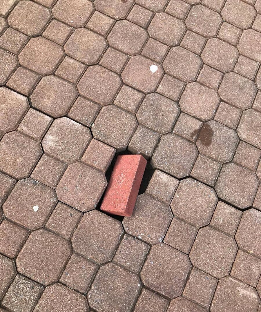 Biz ayrı dünyaların insanlarıyız