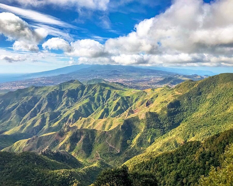 Kanarya Adaları, İspanya