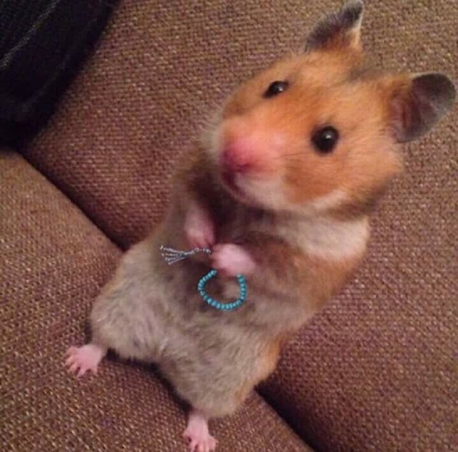 ​Anlat bakalım yeğenim okul nasıl gidiyor?