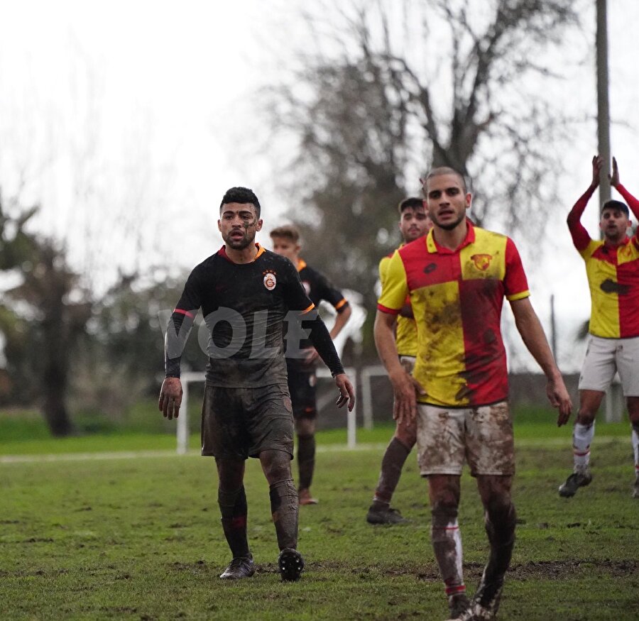 Fotoğraf, Vole'den alınmıştır.