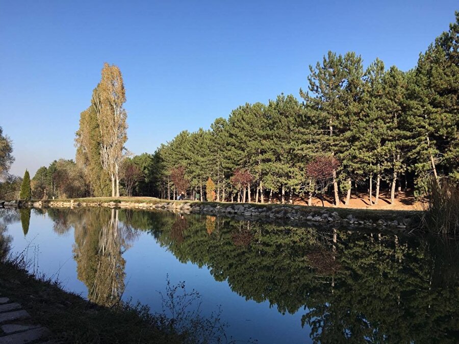 Hacettepe Üniversitesi

                                    
                                