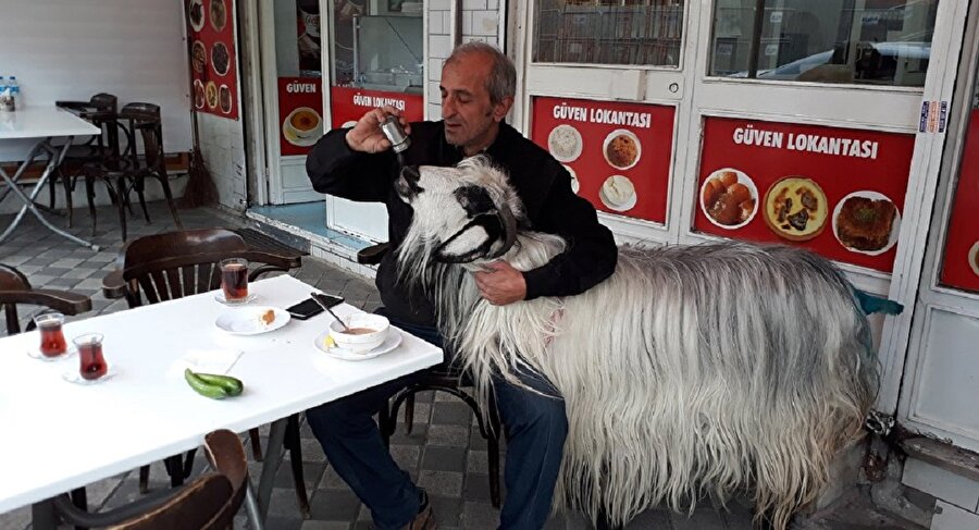 Ali Sever, keçisini çocuğu gibi sevdiğini söylüyor.