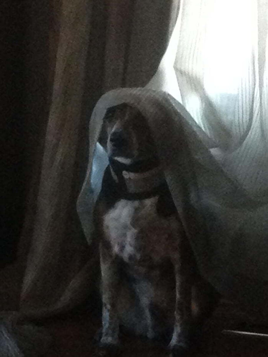 Gelin hanım hoş geldiniz​