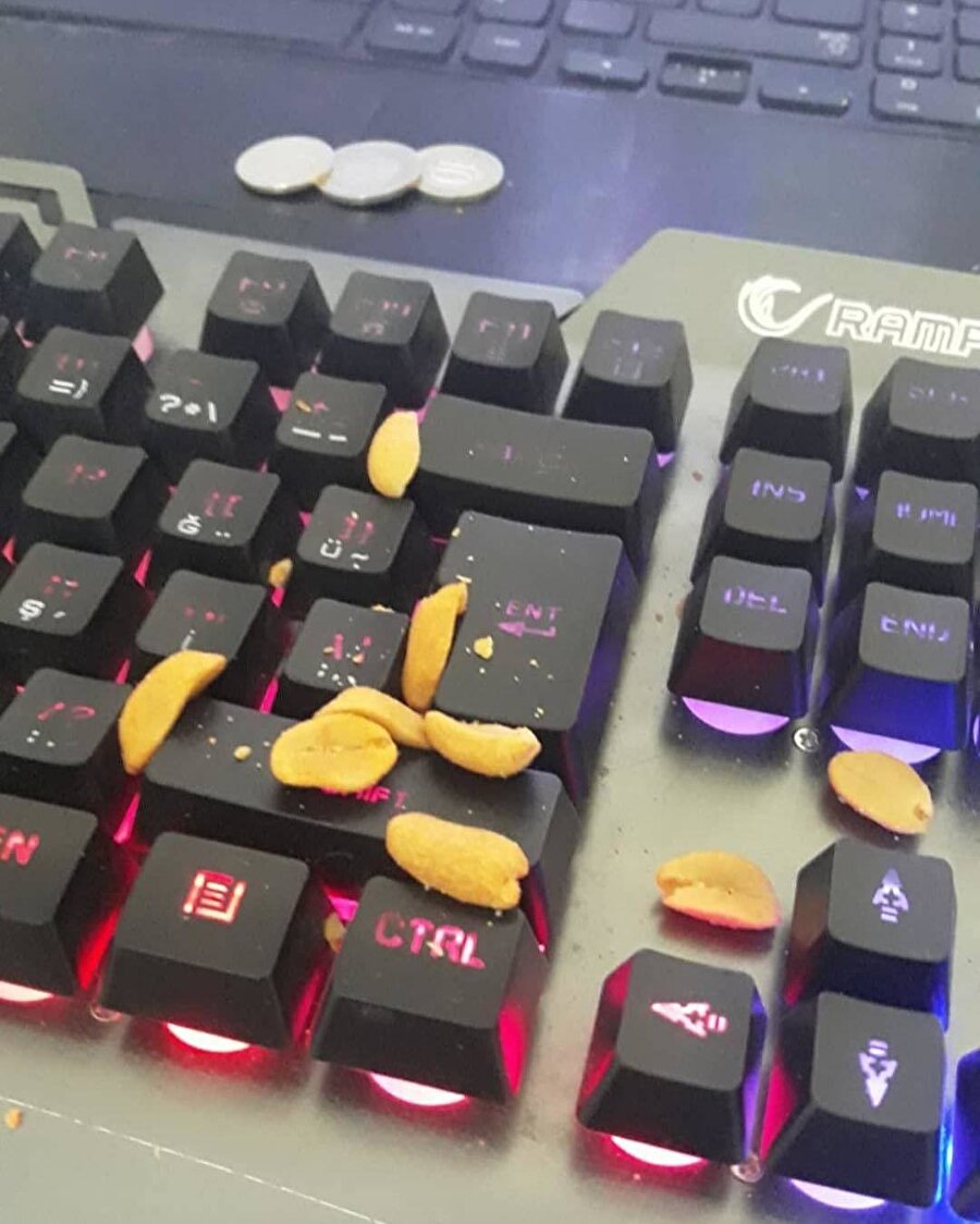 Kuruyemişçi açsaydın klavyenin üzerinde?