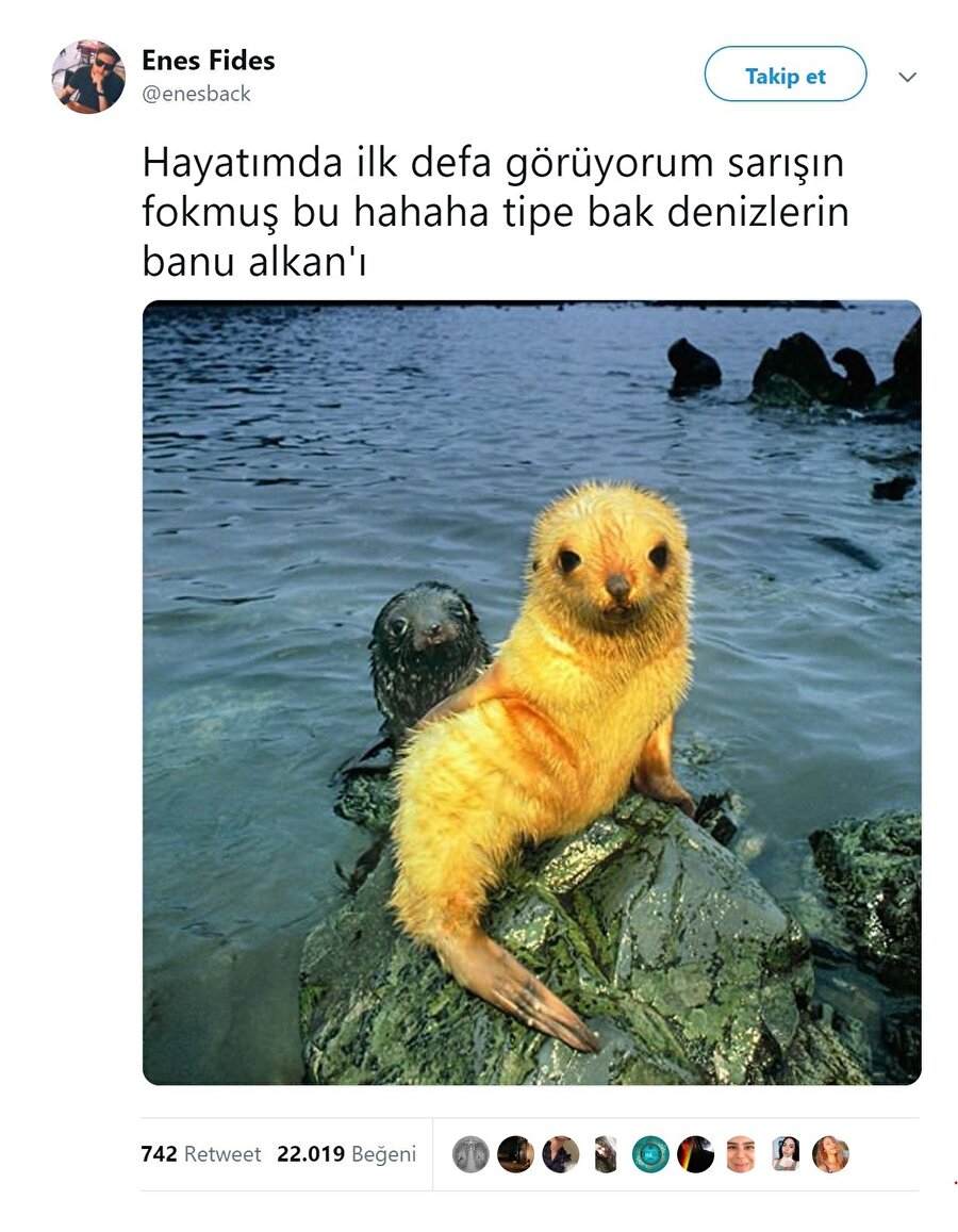 ​Pozu bile aynı