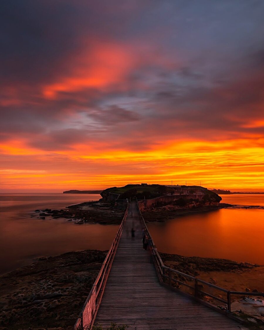 ​Bare Island. Sidney, Avustralya'da bir ada