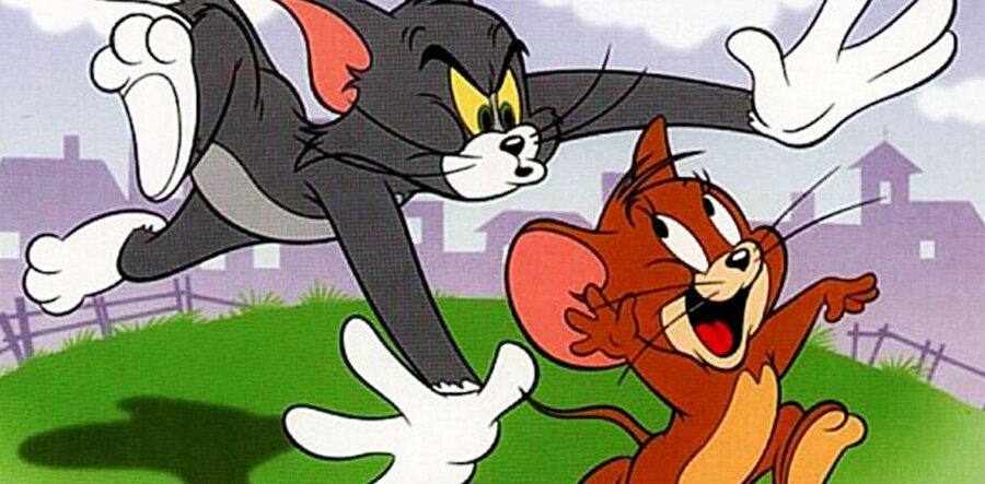 Tom ve Jerry heimiizn en sevdiği çizgi filmlerdendir. Tom her seferinde Jerry'i yemeye çalışır ancak bir türlü amacına ulaşamaz. Genelde konu tek bir olay üzerinde gelişir. 

                                    
                                