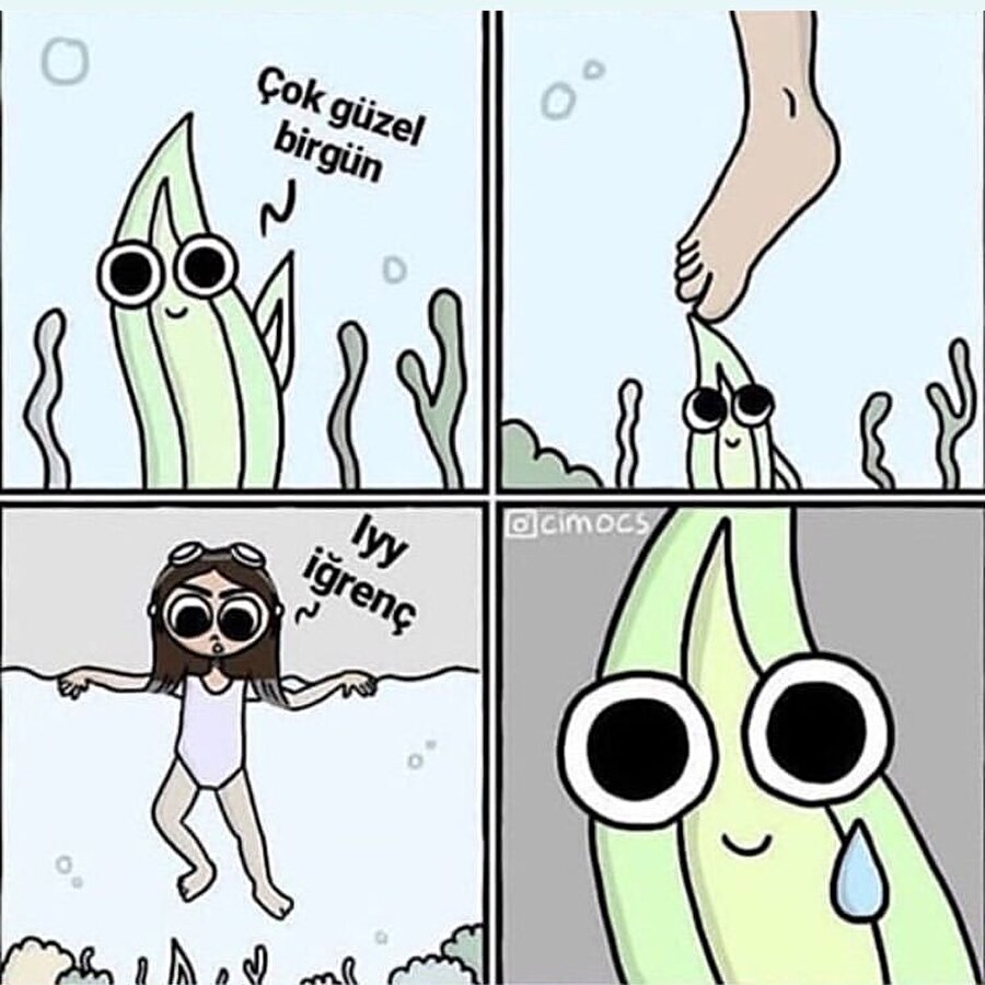 Hiç böyle hayal etmemiştim​