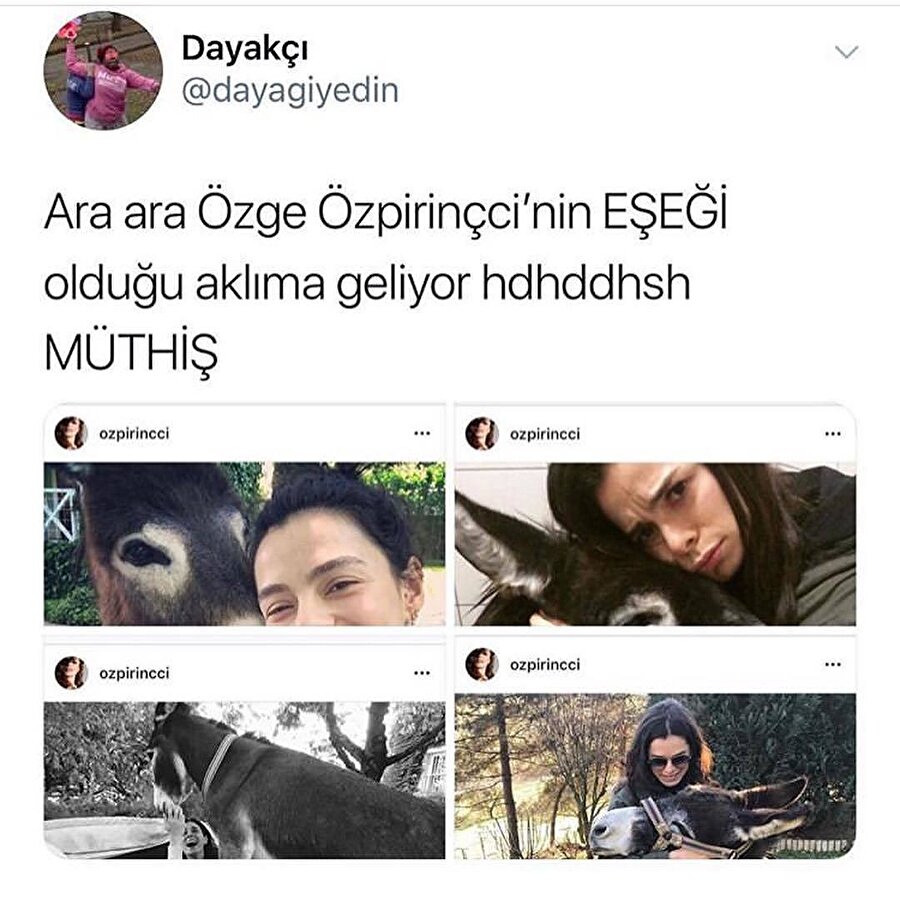 Eşek sahiplenme fikri yavaş yavaş aklımıza giriyor