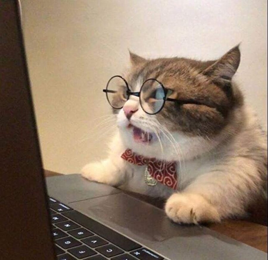 Bak şimdi azizim...