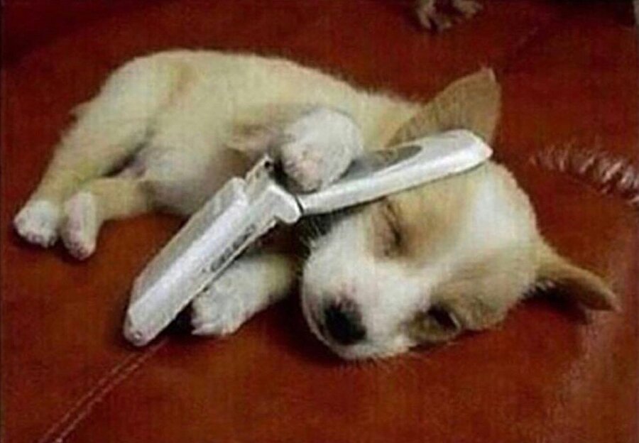 Uykum yok ya konuşabiliriz