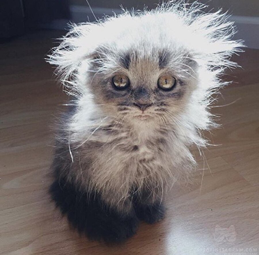 Duştan çıkıp saçımı kuruttum