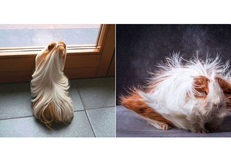 Evdeyken saçım / Dışarı çıktığımda saçım