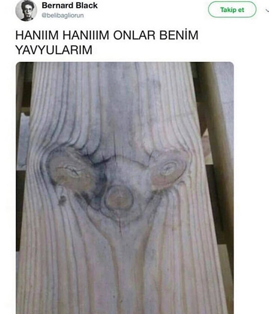 Karakterin sesiyle okudum