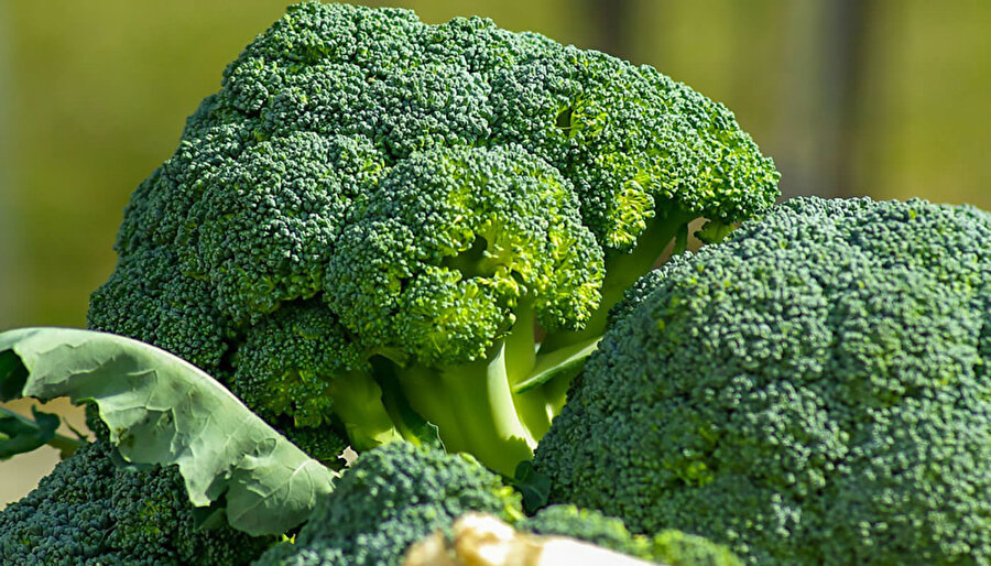 Brokoli

                                    
                                    
                                    
                                    
                                    
                                    
                                    
                                    
                                    
                                    
                                    
                                    
                                    
                                    Çok fazla sevmeni olmasa da brokoli bir sağlık deposu. Özellikle 'diyabet hastaları için var olan bir sebze' demek hiç de yanlış olmaz. 
                                
                                
                                
                                
                                
                                
                                
                                
                                
                                
                                
                                
                                
                                