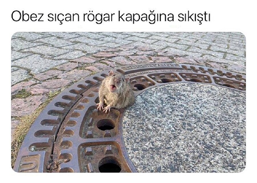 Seni o kadar iyi anlıyorum ki...