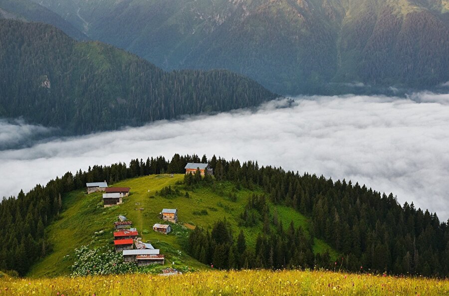 Pokut Yaylası

                                    
                                    
                                    Pokut yaylası gözkyüzüyle buluşan dağların arasında bize eşsiz bir güzellik sunuyor.
                                
                                
                                