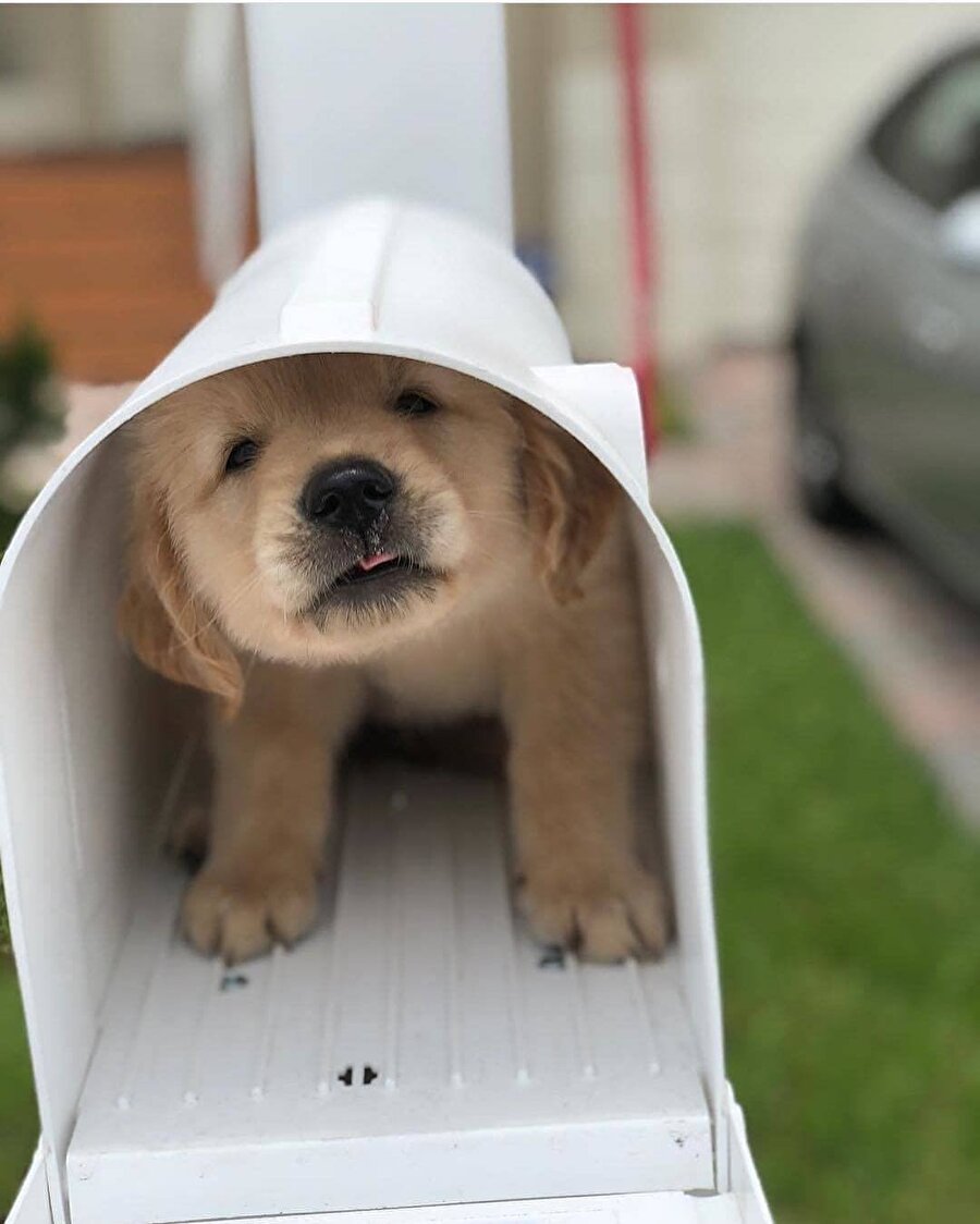 

Böyle bir kargo teslim almam lazım
