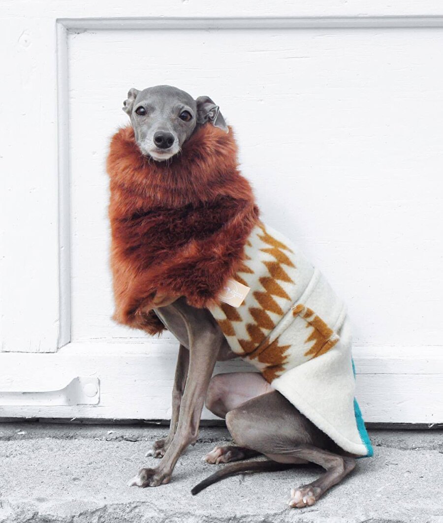 Bu mevsimler hiç belli olmaz üşütürsün sıkı giyinmek lazım