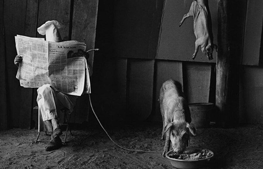 Fotoğrafçı Pedro Luis Raota'nın, gazete okuyan kasabı.   