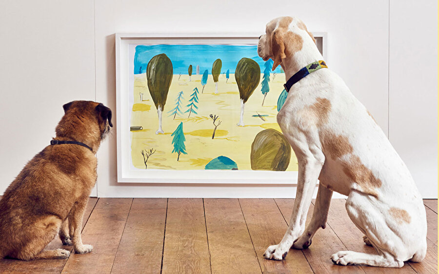 Museum of the Dog.