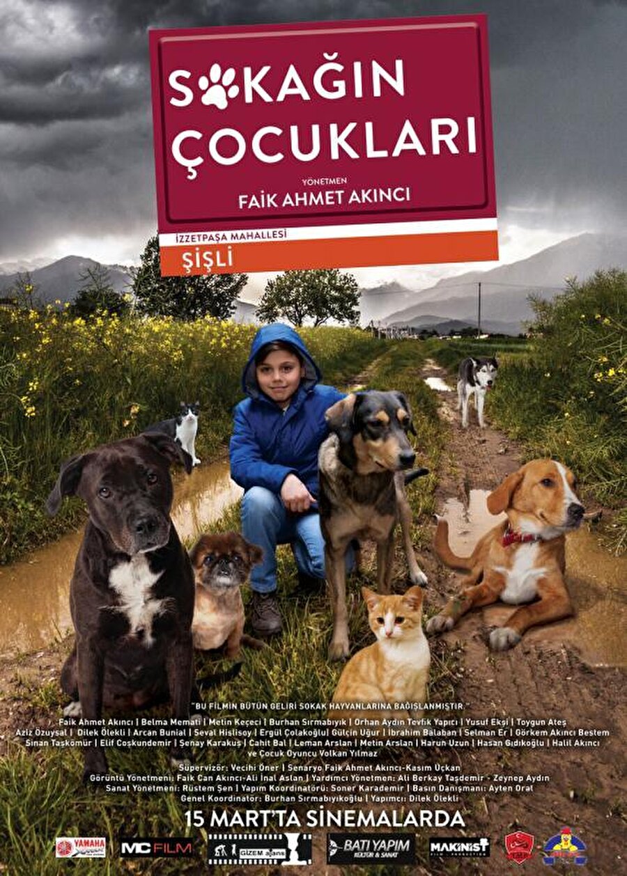4. Sokağın Çocukları
Faik Ahmet Akıncı'nın yönettiği "Sokağın Çocukları", sokak hayvanlarının zorlu yaşam mücadelesini odağına alıyor.