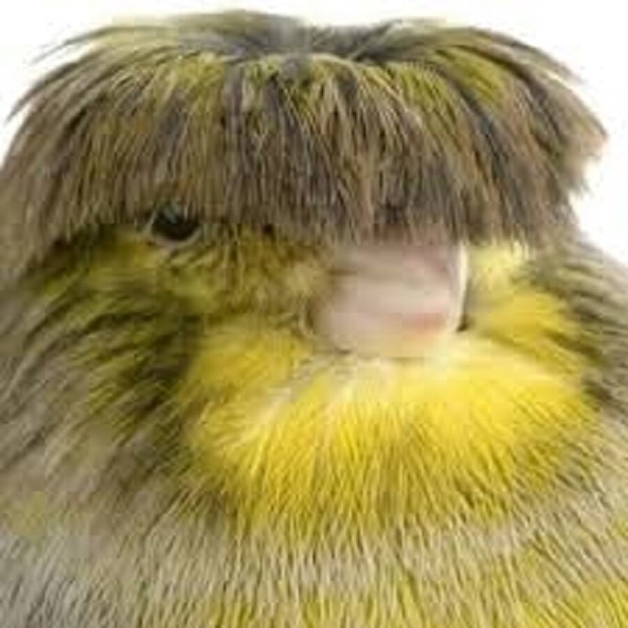 Verilmesi gereken bir penaltıydı ama vermediler