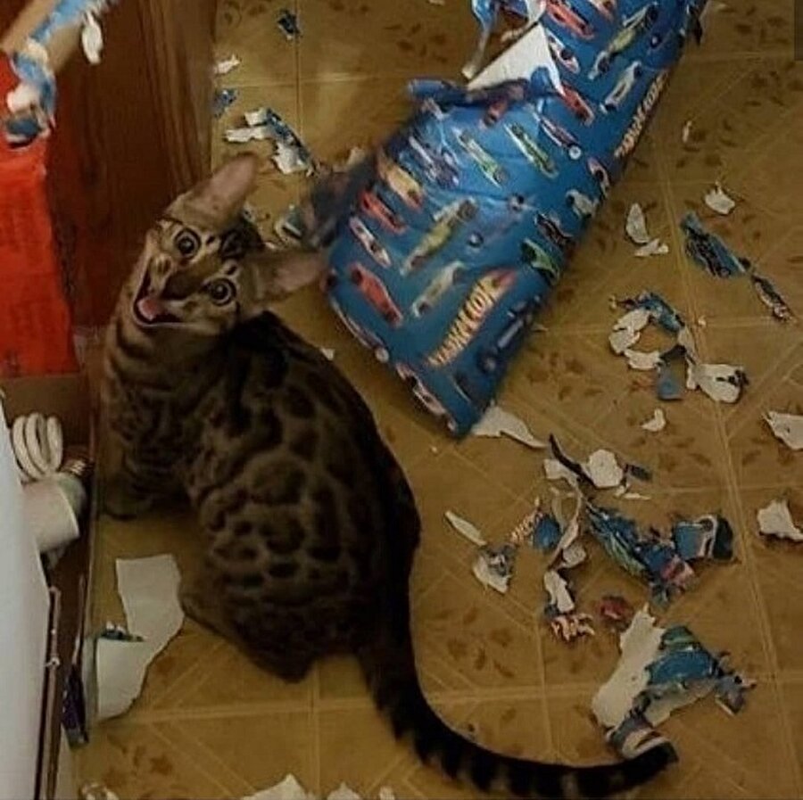 Nasıl da yaptığıyla gurur duyuyor