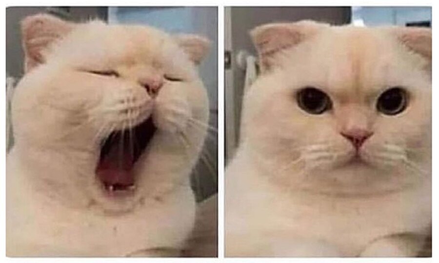 Bütün gün / Gece yarısı