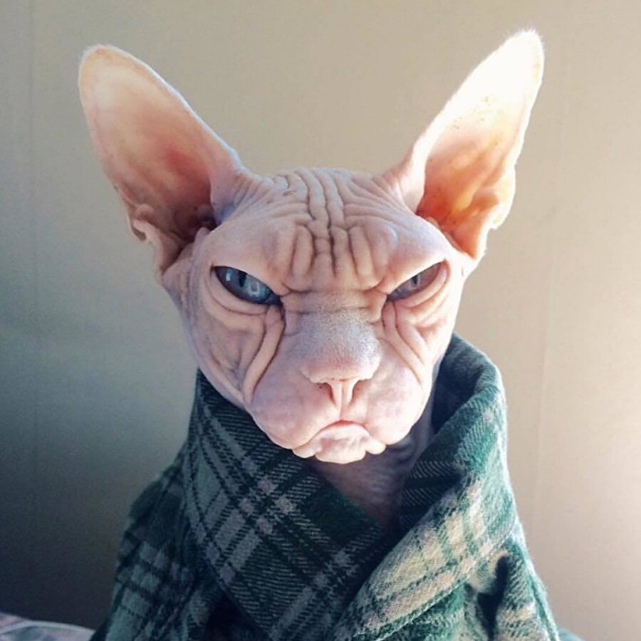 ​Bulunduğum ortamda pis bir koku var