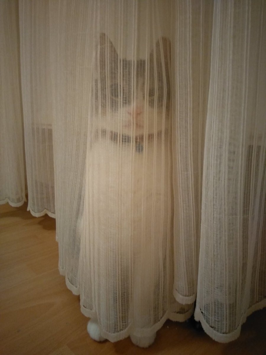 Ben artık gelinlik giymek istiyorum