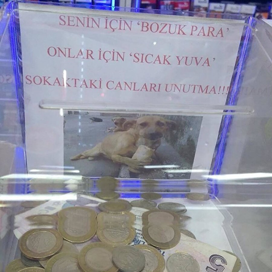 ​Arkadaki fotoğraf güldürdü