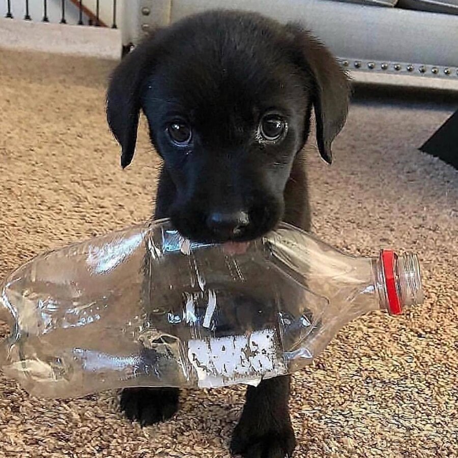 Çöplerini hep yere atıyorsun ama