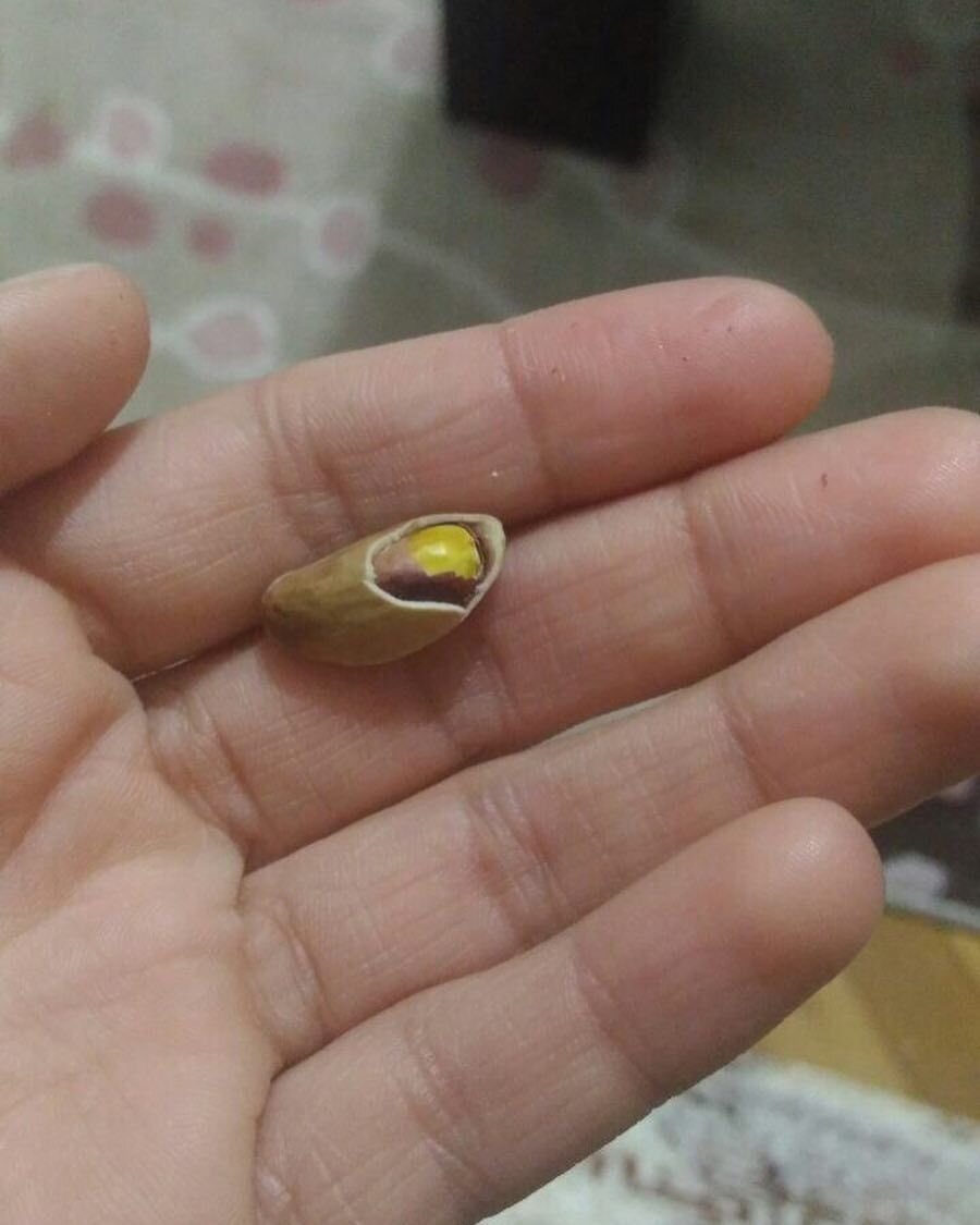 ​Tabakta kalan son fındığın acı gelmesi gibi